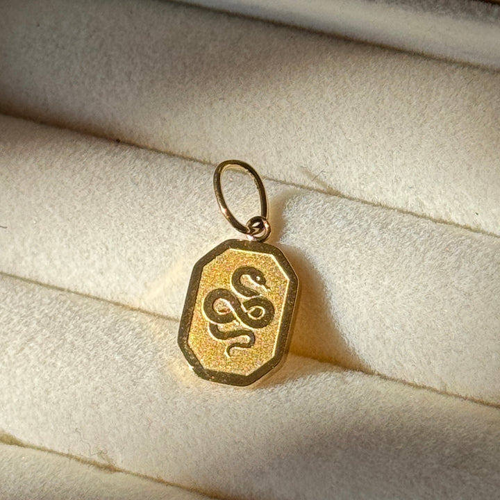 Slytherin Crest Charm (HALLOWEEN SPECIAL)