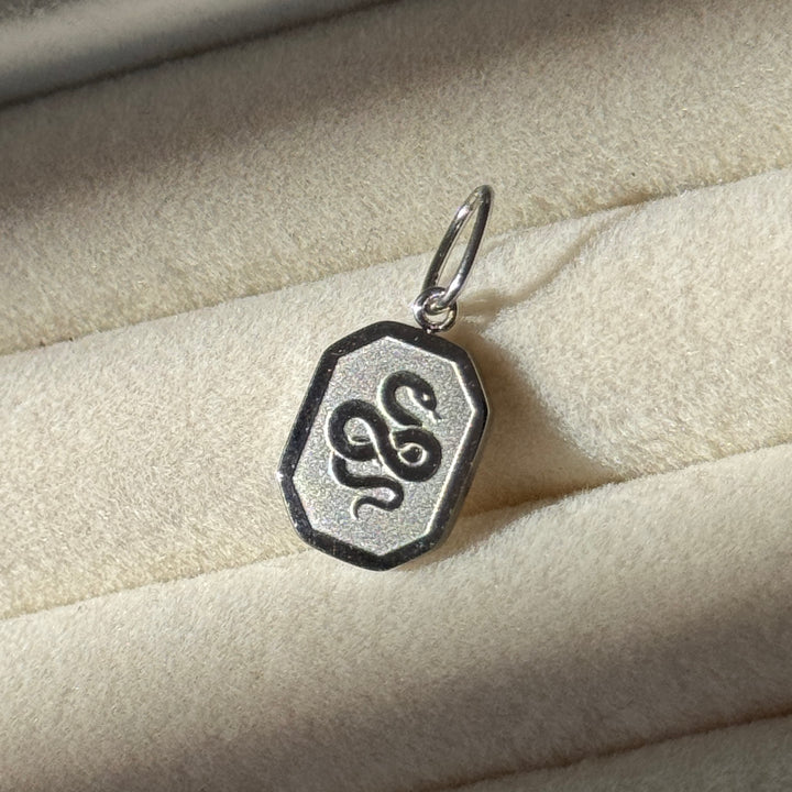Slytherin Crest Charm (HALLOWEEN SPECIAL)
