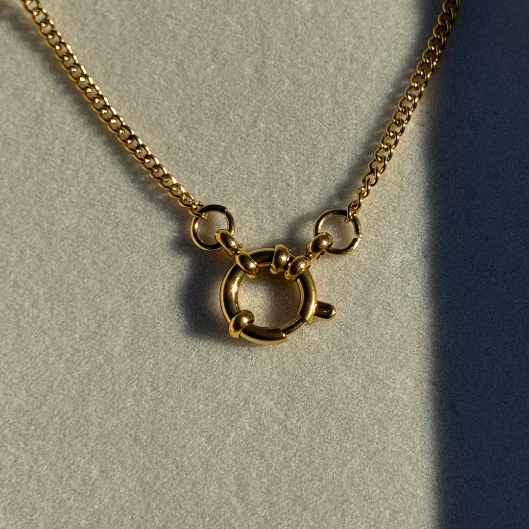 Hierloom Clasp Necklace