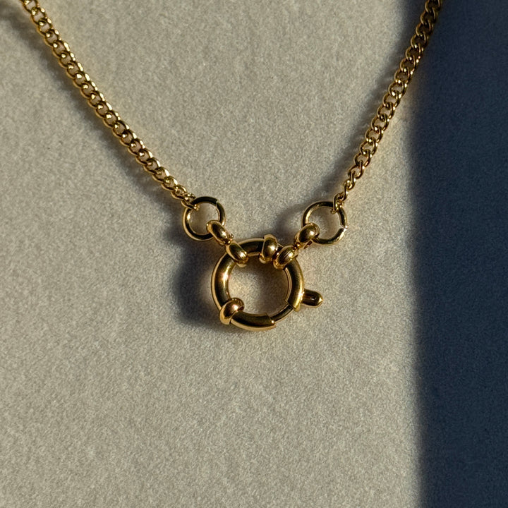 Hierloom Clasp Necklace