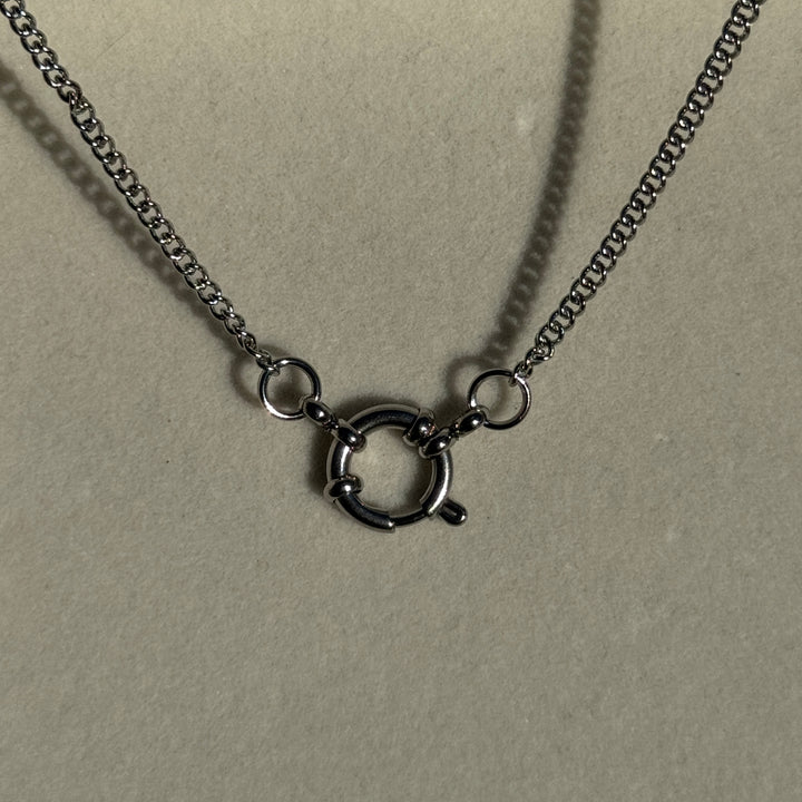 Hierloom Clasp Necklace
